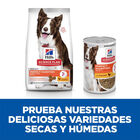 Comida húmeda Hill’s Perfect Digestion para perros image number null